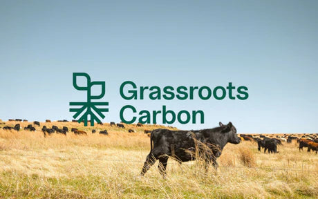 Grassroots Carbon