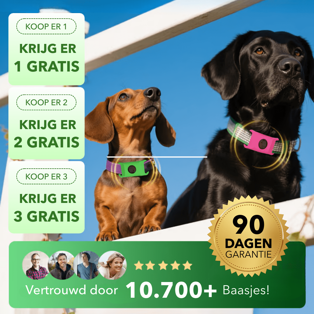 FleaTag™ - 12 maanden vrij van vlooien en teken - LOOLA